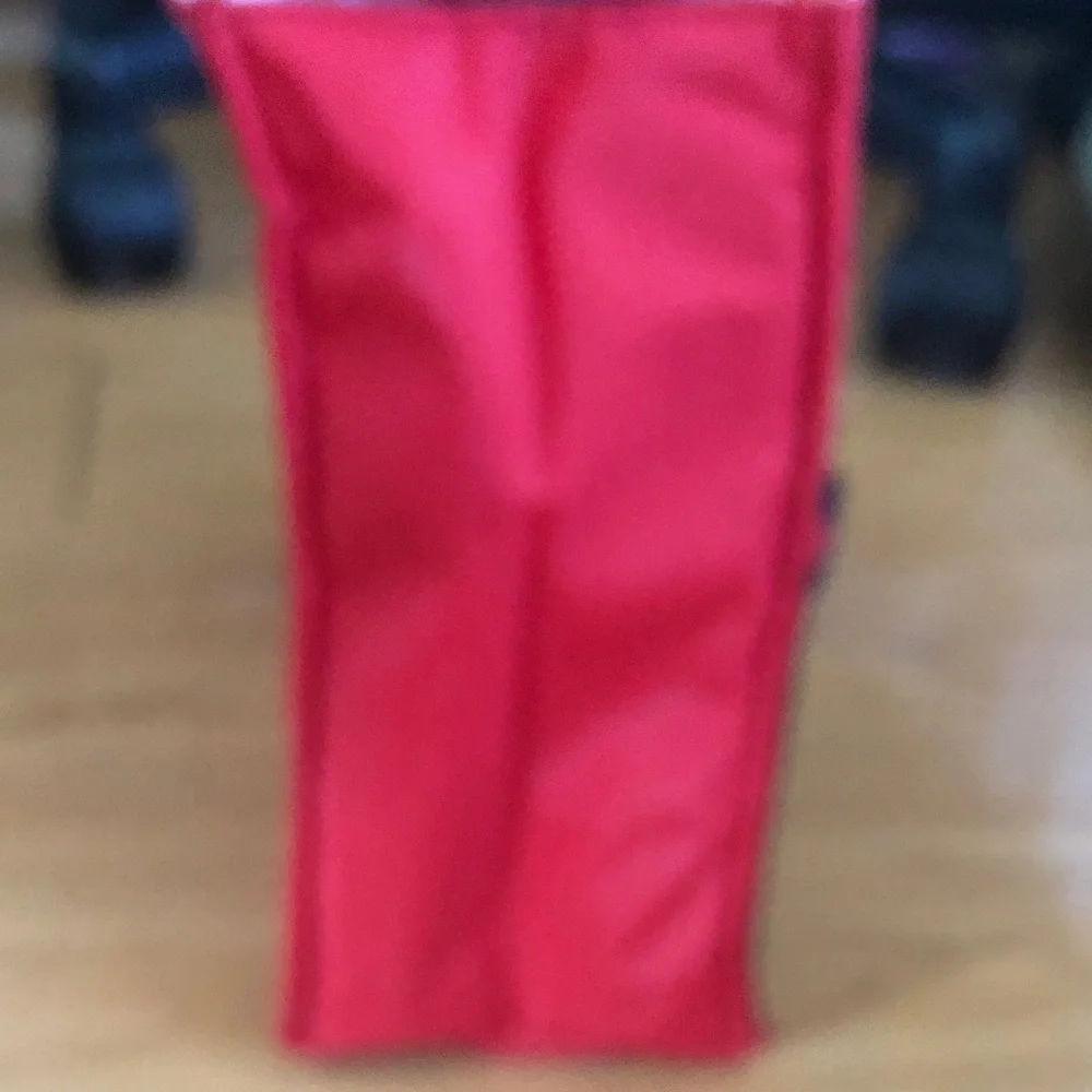 Coleman Red and Black insulated Lunch Tote